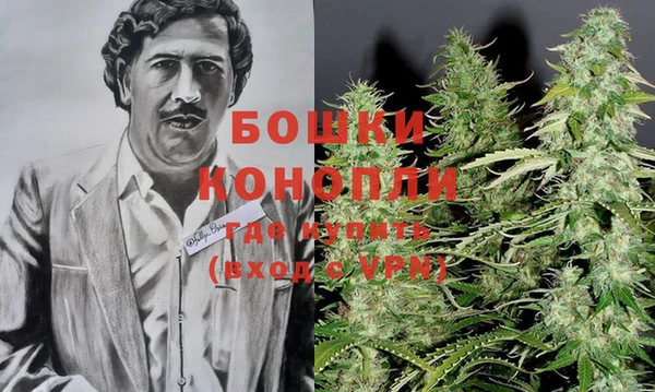 трава Балахна