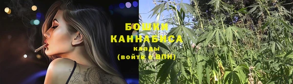 трава Балахна